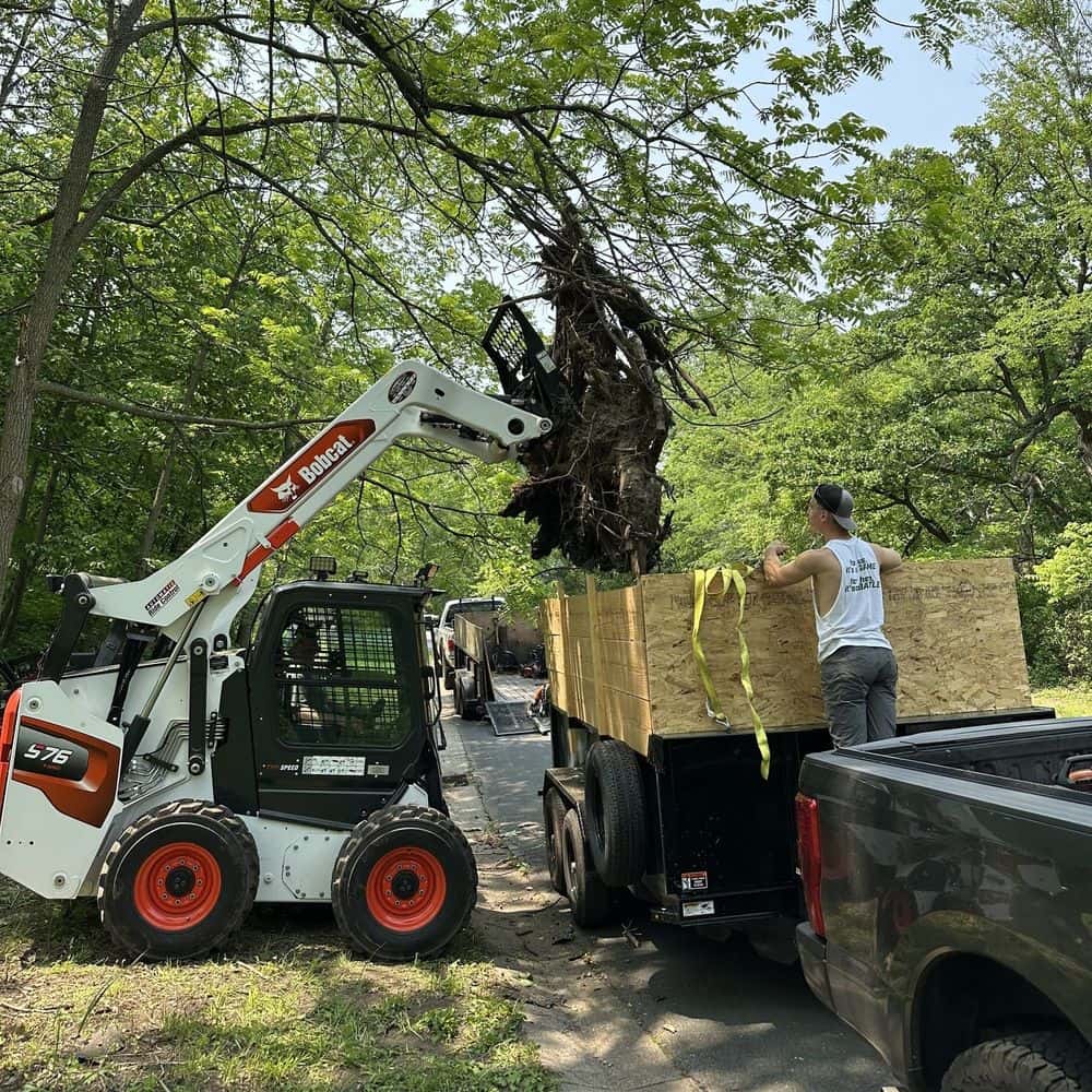 Hero image for Schoony's Lawn Care