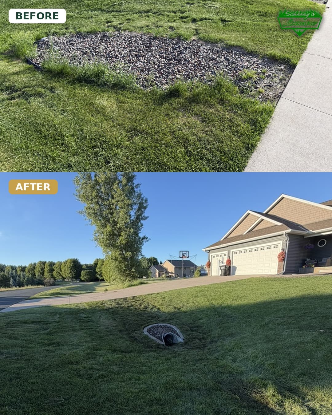 Gallery photos for Full Yard Landscape Refresh with Drainage, Beds, Sod and Plants: Image #4