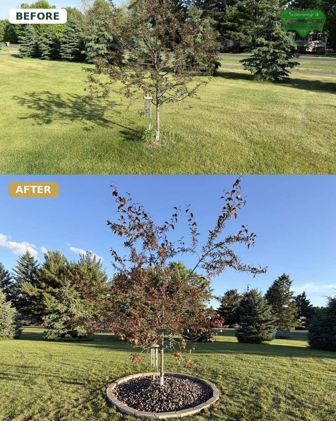 Full Yard Landscape Refresh with Drainage, Beds, Sod and Plants image