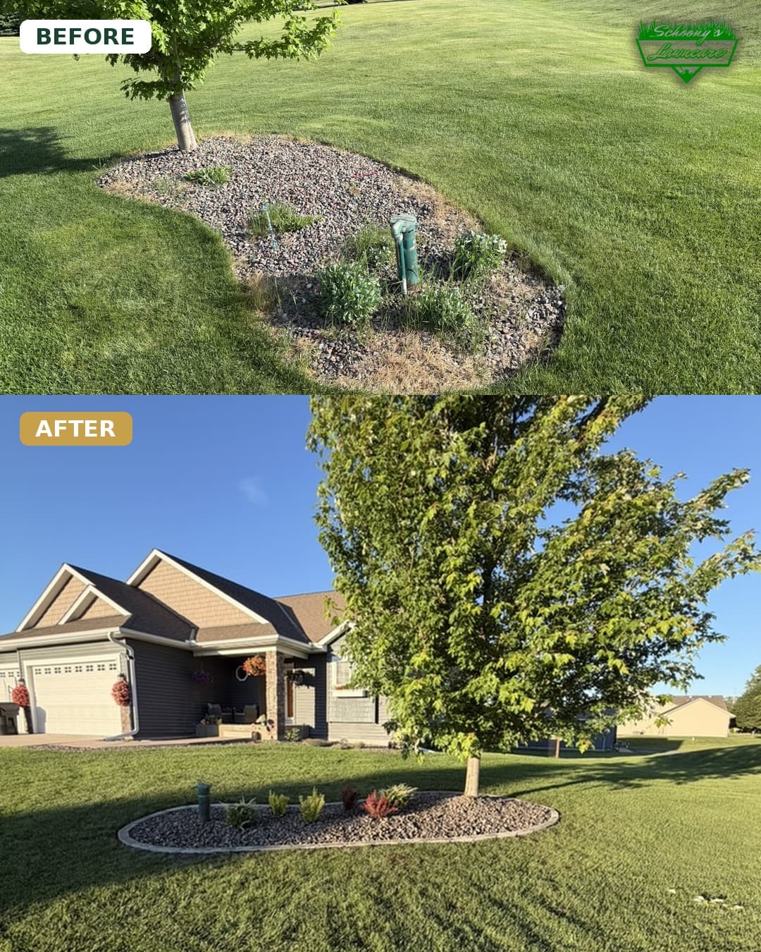 Gallery photos for Full Yard Landscape Refresh with Drainage, Beds, Sod and Plants: Image #1
