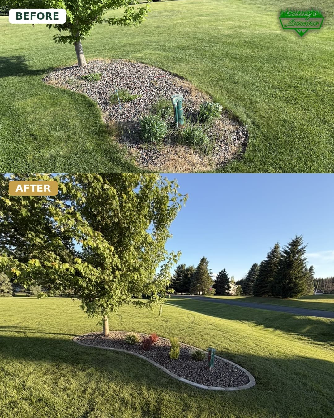 Gallery photos for Full Yard Landscape Refresh with Drainage, Beds, Sod and Plants: Image #2